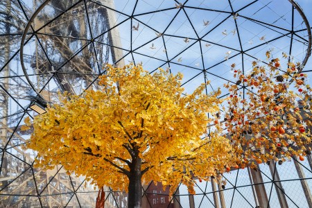 Photo de la terrasse d’automne 2025
